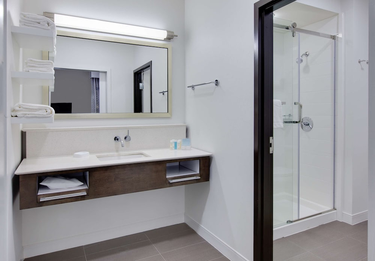 Bathroom 3, Hampton Inn & Suites Tyler-South, Smith