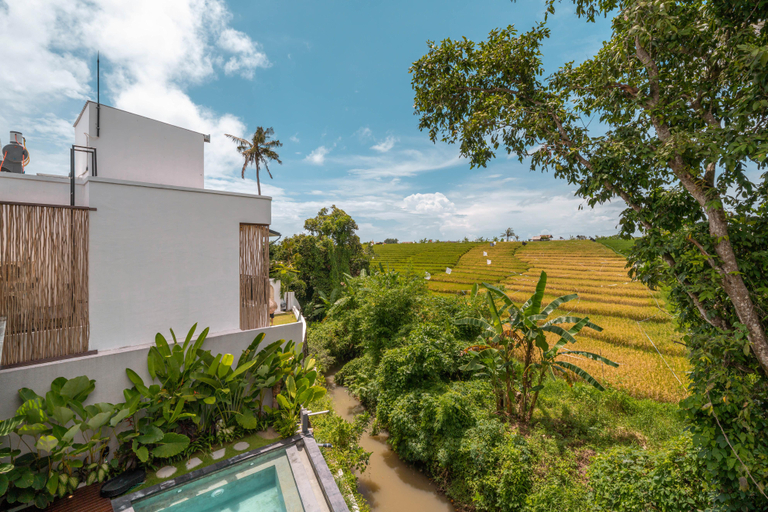 Exterior & Views 2, Villa Luna - Brand New 4BR Villa With 180° Rice Field Views, Badung