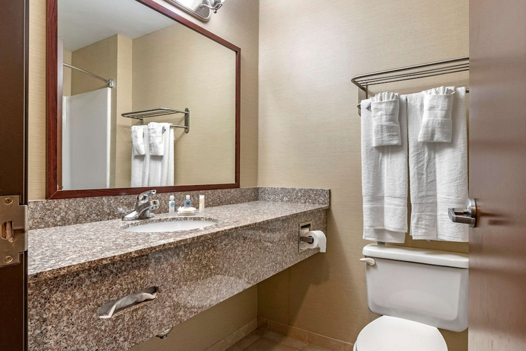 Bathroom, Comfort Inn Williamsport, Lycoming