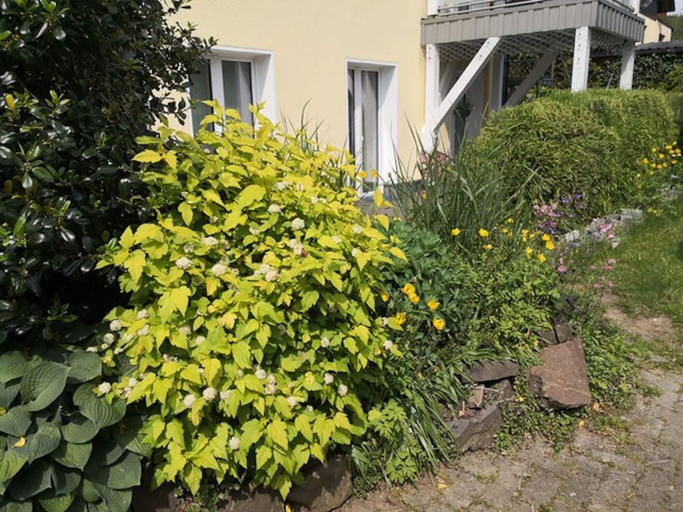 Exterior 3, Apartment in Herscheid-sauerland With Balcony, Märkischer Kreis
