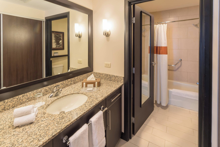 Bathroom 5, Residence Inn by Marriott San Jose Escazu, Escazú