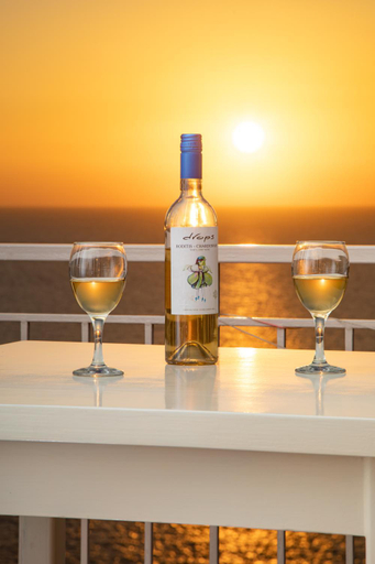 Food & Drinks 5, Panorama Apartments, Ionian Islands
