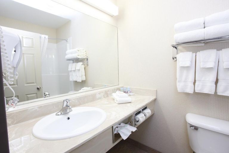 Bathroom 4, Vegreville Suites, Division No. 10
