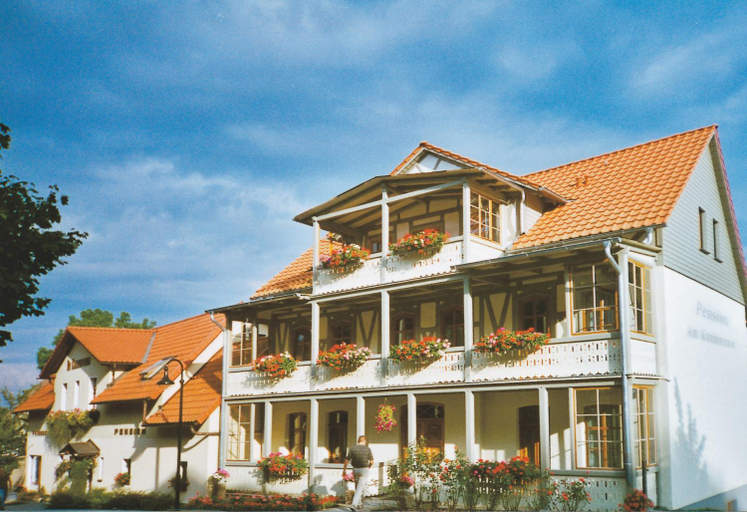 Others 5, Hotel Pension Am Kurzentrum, Harz