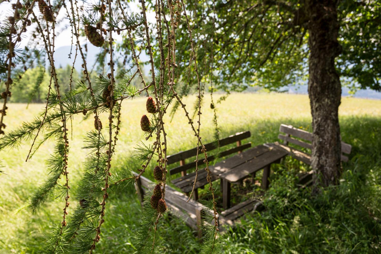 Others 3, Der Zirmerhof, Bolzano