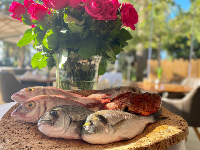 Food & Drinks 5, Hotel de la Mer, Var