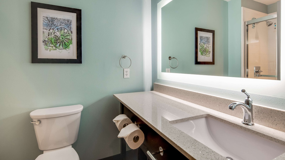 Bathroom 4, Best Western Plus Executive Residency Marion, Crittenden