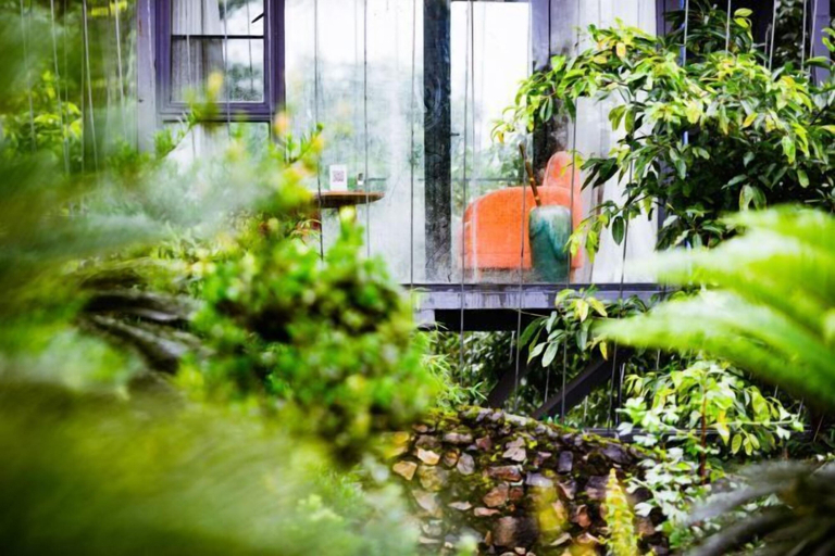 Exterior & Views 2, Nanshan Yuanqi Guesthouse, Chongqing