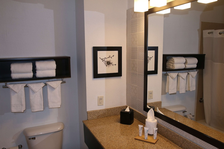 Bathroom 4, Country Inn & Suites by Radisson, Wilson, NC, Wilson