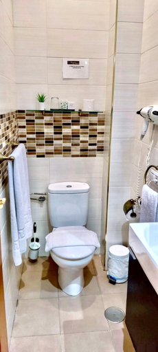 Bathroom, Hostal Segovia, Segovia