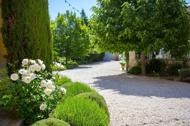 Others 4, Domaine de Blanche Fleur, Vaucluse