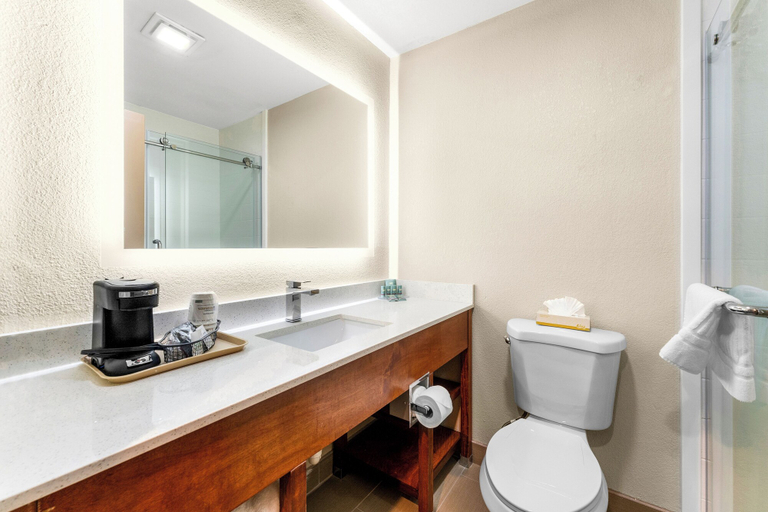 Bathroom 4, SureStay Plus by Best Western Reading North, Berks
