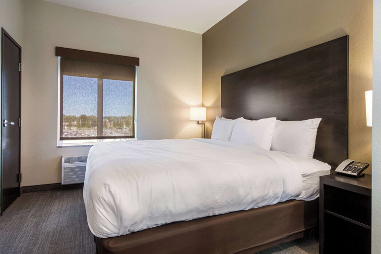 Bedroom 3, Comfort Suites Brunswick Town Center, Medina