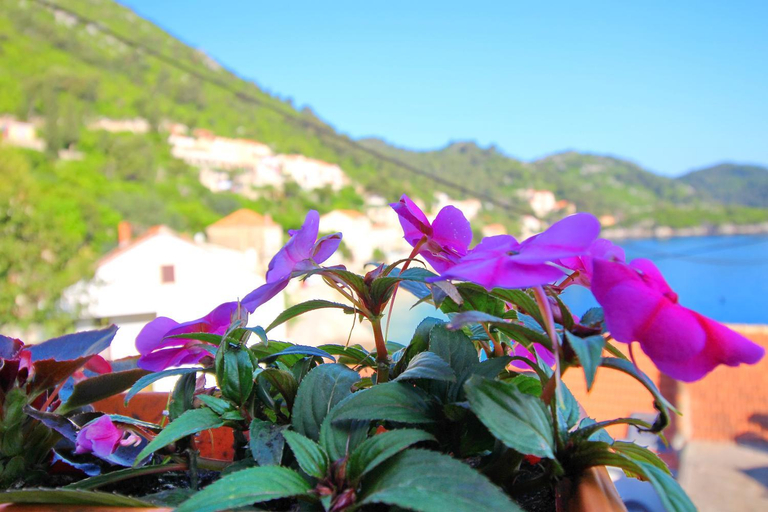 Others 4, Apartment Mambo , Mljet - Duplex Apartment with Terrace and Sea View, Mljet
