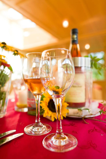 Food & Drinks 5, Landgasthof Kinzigstrand, Ortenaukreis