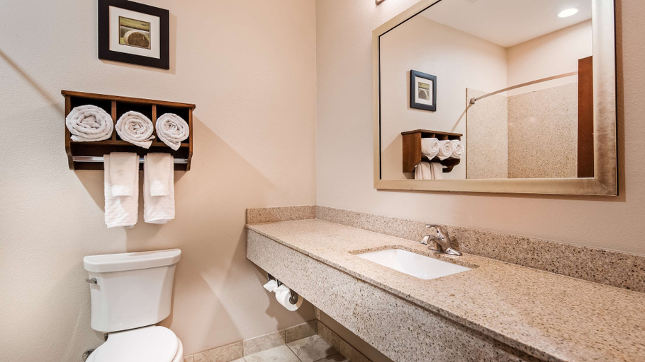 Bathroom 3, Best Western Plus Denver City Hotel and Suites, Yoakum
