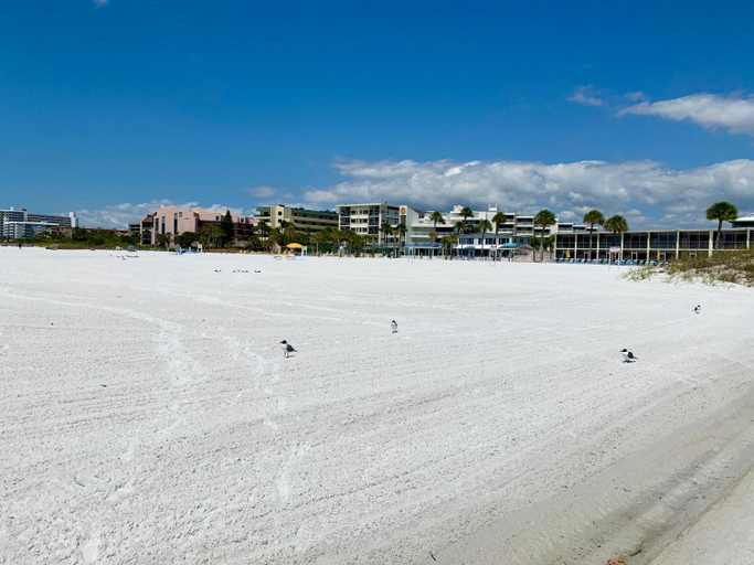 Surrounding environment 3, Calini Beach Club by Coolvacay, Sarasota