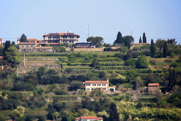 Others 3, Hostel Panorama Portoroz, Piran