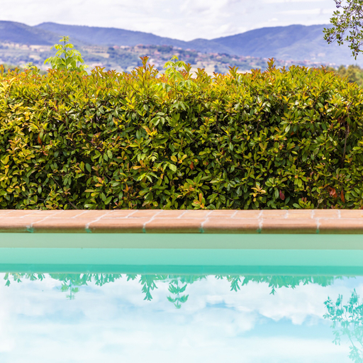Sport & Beauty 2, Un Petit Paradis, Perugia