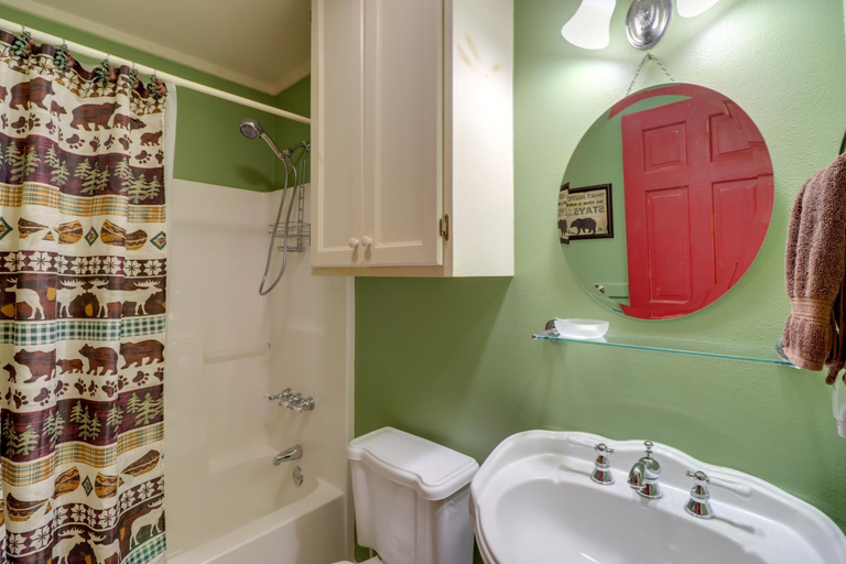 Bathroom, Roomy Riverfront Trout Valley Cabin with Porch!, Izard