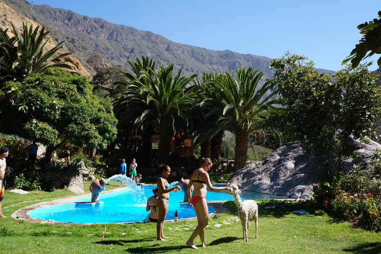 Others 4, Paraiso Las Palmeras Lodge, Caylloma