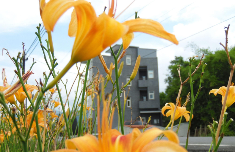 Exterior & Views 2, Footprint B&B, Yilan