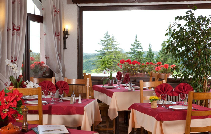 Restaurant 2, Logis Hotel La Petite Chaumiere, Ain