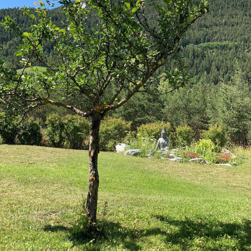 Others 3, Le Trolle, Alpes-de-Haute-Provence