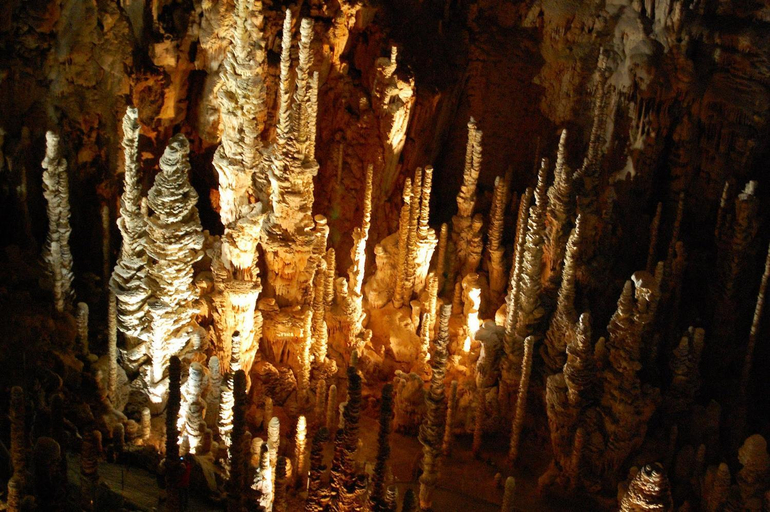 Others 5, Domaine Aigoual Cevennes, Lozère
