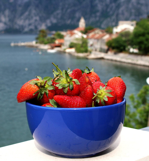 Food & Drinks, Apartment MiraMare
