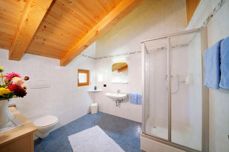 Bathroom, Gasthof Trausberg, Bolzano