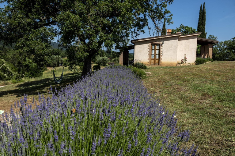 Others 4, Agriturismo Belvedere Di Pierini E Brugi, Grosseto