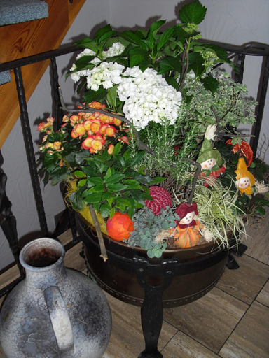 Food & Drinks 4, Landgasthof Anker, Calw
