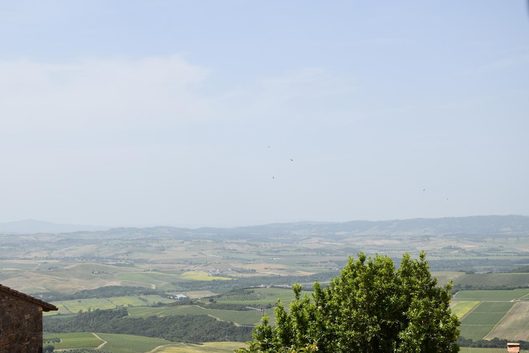 Others 2, Borgo Vecchio, Siena