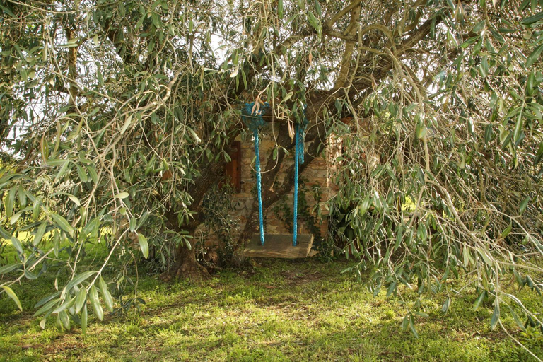 Others 5, Casale Vigna Carbona, Grosseto