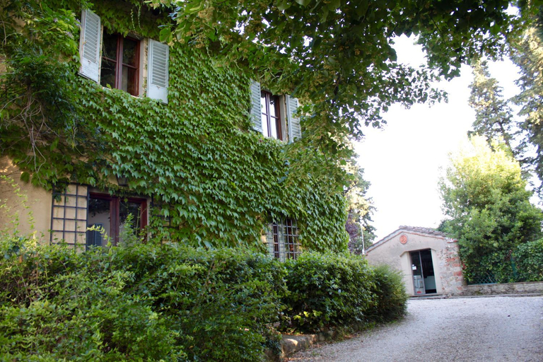 Entrance 4, Azienda agricola Frascole, Florence