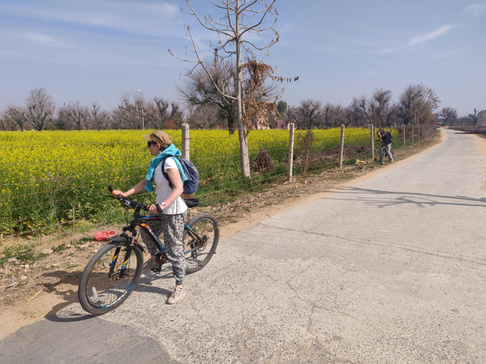 Others 5, Tourist Pension, Jhunjhunun