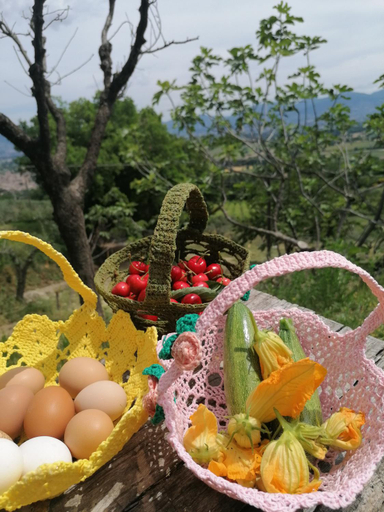 3, Agriturismo Etico Le Grazie, Perugia