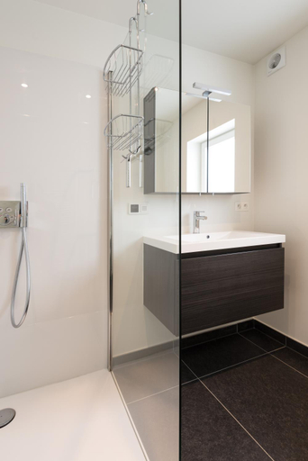 Bathroom 5, Holiday home Zelenachten, Oost-Vlaanderen