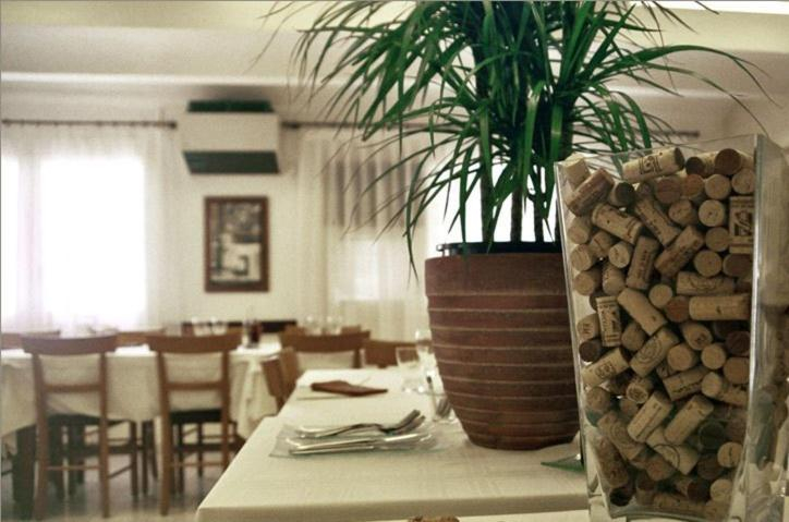 Food & Drinks 3, Carmelita, Girona