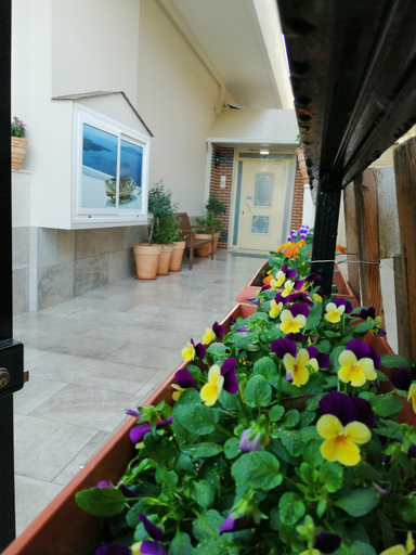 Others 4, Giorgos Apartments Sea View, Central Macedonia
