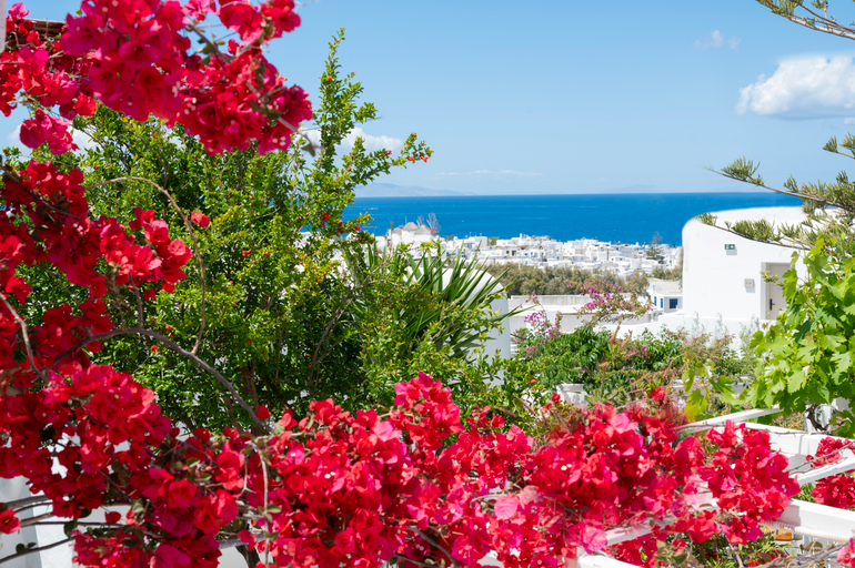 Public Area, Boutique Di Vito, South Aegean