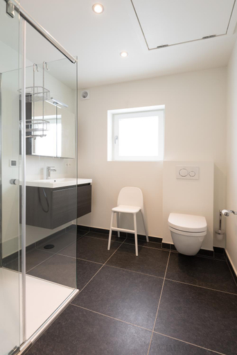 Bathroom 2, Holiday home Zelenachten, Oost-Vlaanderen