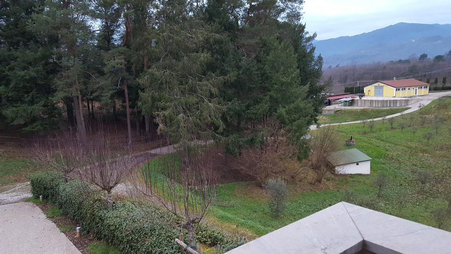 Scenery 16