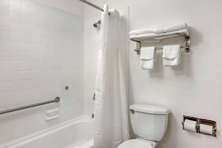 Bathroom 3, Quality Inn & Suites Ruther Glen, Caroline