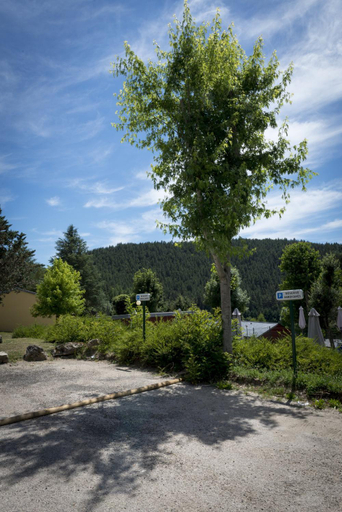 Others 5, Domaine Aigoual Cevennes, Lozère