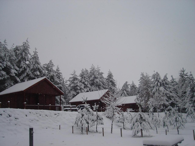 Scenery 5