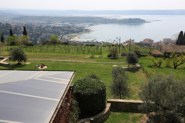 Others 2, Hostel Panorama Portoroz, Piran
