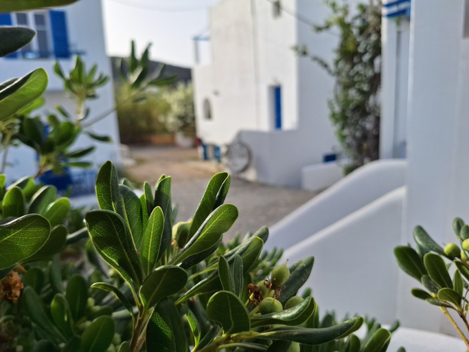 Exterior & Views 2, Evi Evan Hotel, South Aegean