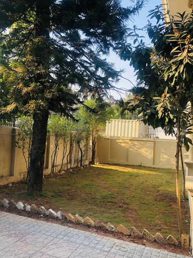 Others 5, Royal Executive Guest House, Islamabad
